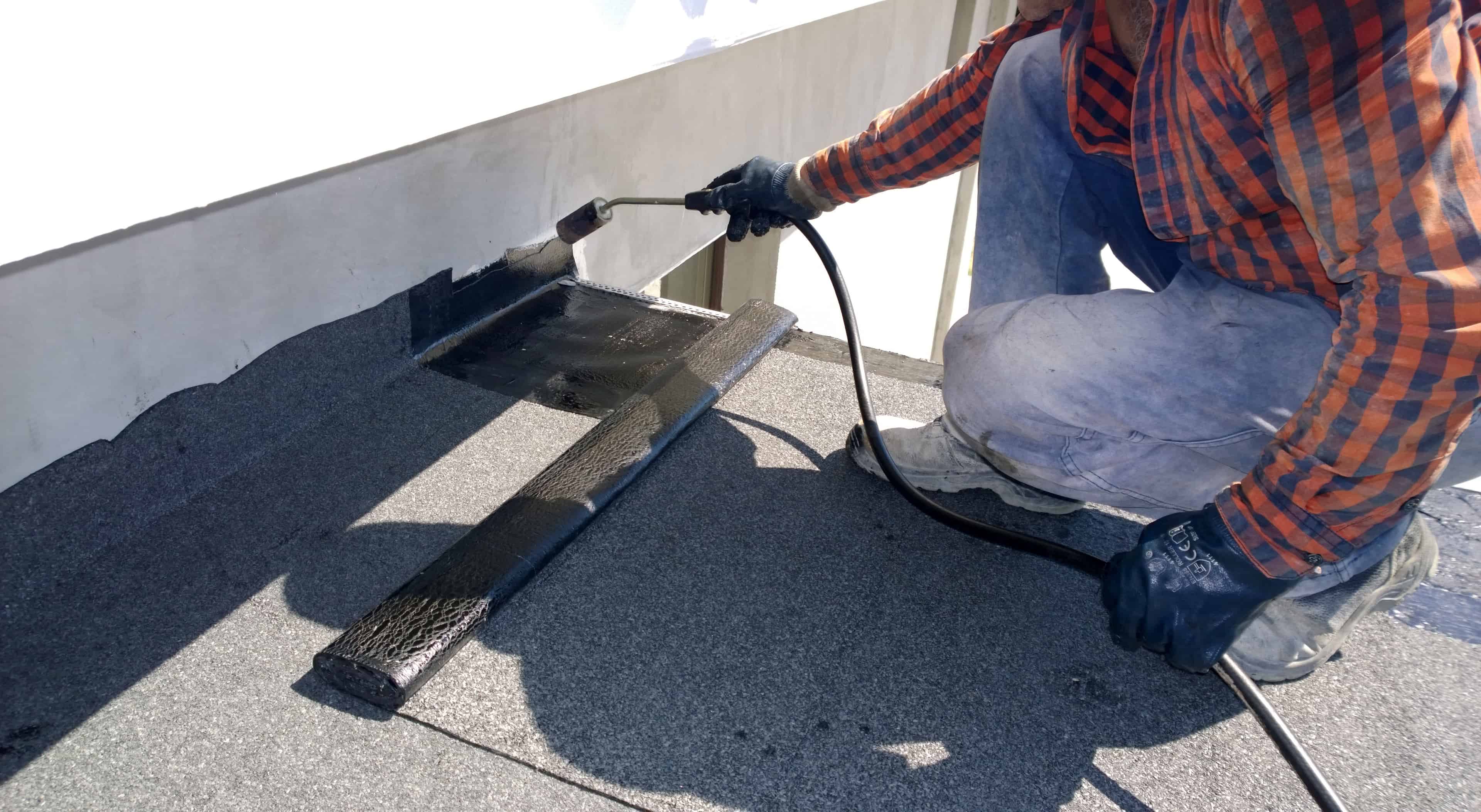 Roof Coating image